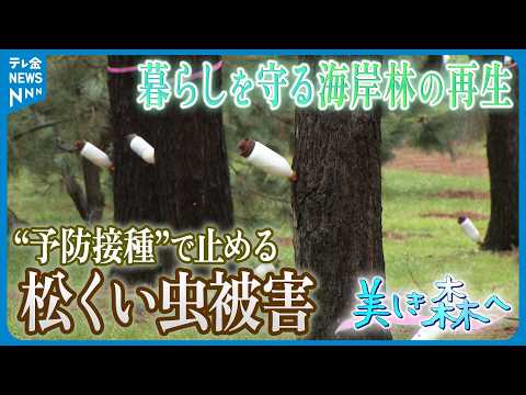 【シリーズ・美しき森へ】～ 暮らしを守る海岸林の再生 ～　“予防接種”で止める松くい虫被害