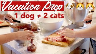 RAW FOOD PREP WITH ME FOR VACATION » 1 dog + 2 cats on a raw food diet