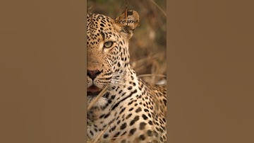 Field Guide , Trails Guide & Marine Guide Training. #FGASA #Bhejane #BhejanePride #natureguide