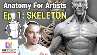 🎓 ANATOMY FOR ARTISTS - SKELETON 101