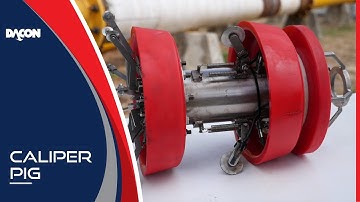 Caliper Pig