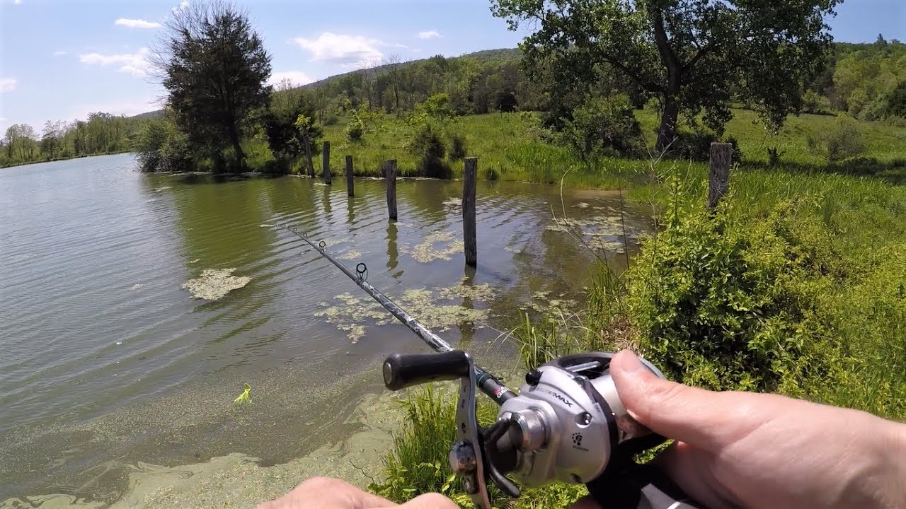 Bass Fishing in PONDS New Farm Ponds YouTube