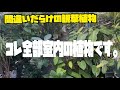 【注意喚起】勘違いしてる人が多いので。後悔しない様頭に入れておきましょう。