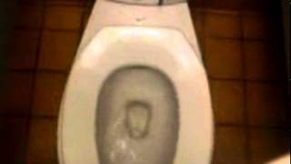 Toilet From Hell.avi