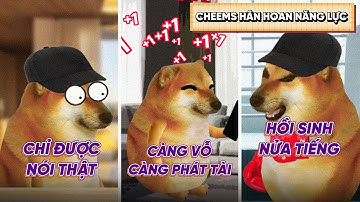 Tổng hợp - Cheems Hân Hoan chọn siêu năng lực