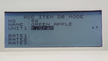 WeP BP 2100- Entering Items into database with UDF enabled