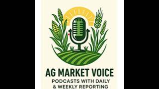 Corn Hits Resistance at 50/100/200 Day- Beans?  Hit $12.04! Use the Rally!