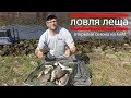 Ловля леща.  Отличное открытие сезона на КиМ