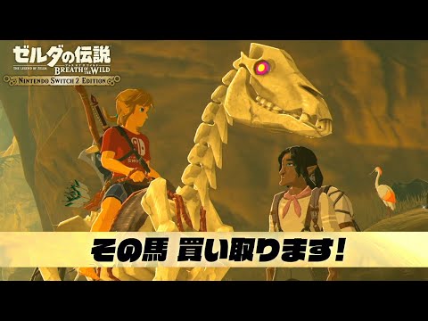 買えよ｜【Switch2】ゼルダの伝説 ブレスオブザワイルド #27