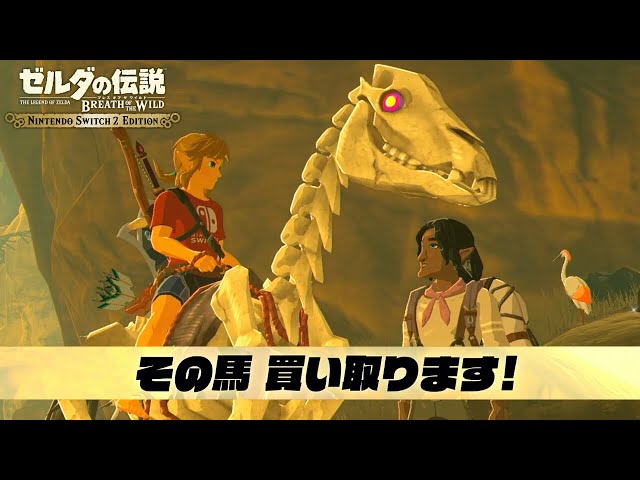 ゼルダの伝説 ブレス オブ ザ ワイルド Switch2 買えよ｜【Switch2】ゼルダの伝説 ブレスオブザワイルド #27