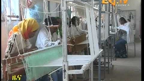 Eritrean Ministry working on priority basis regarding rehabilitation of families of fallen heroe