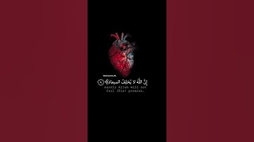 اجمل تلاوة القران الكريم عبدالرحمن مسعد حالات واتس اب قران حالة نفسية ❤️🌸