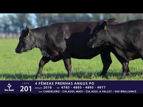 LOTE 201 - TAT 4785, 4805 , 4895, 4977