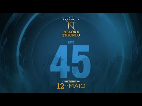 LOTE 45 - MACF 641