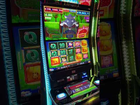 Huff n Lots of Puff Bonus with my Son! #slots #casino #vegas