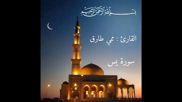من أجمل ما تلا #راحة_نفسية #بصوت ممي طارق من #سورة يس #اكسبلور #تيك_توك #روعات #لايك #تلاوة #جديد
