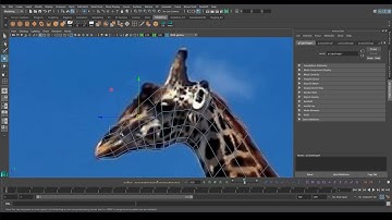 Maya Speed Modeling - Giraffe