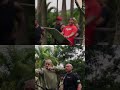 Tiro ao Alvo Militar Precisão, Confiança e Pontaria Imbatível!