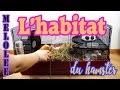 Lhabitat du hamster