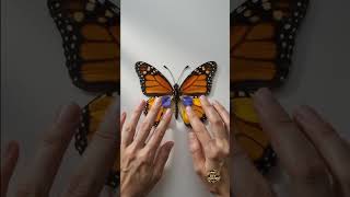 Amazing Cardboard DIY Craft 📦 Easy Handmade Project #Shorts