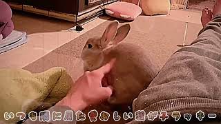 本当に毎日幸せだった隣に我が子がいた日々 - YouTube