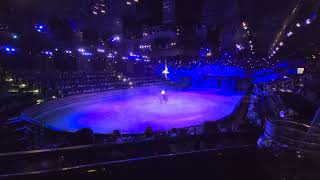 Dixie stampede branson mo