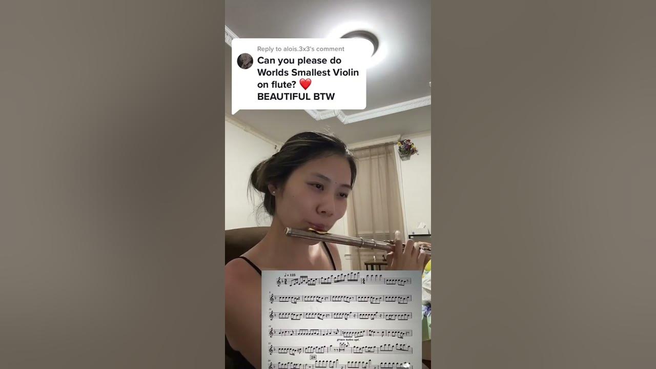 World's Smallest Violin AJR (Flute Tutorial + Sheet Music) YouTube