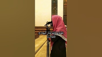 الشيخ محمد اللحيدان، سورة ص #قران_كريم #اكسبلور #quranforeever #دويتو #حديث_صحيح #لايك #ترند