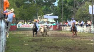 tres caballos pa mi silla