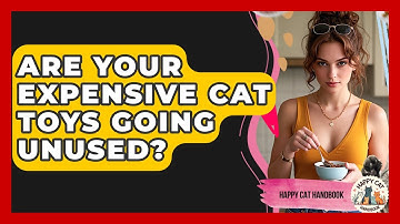 Are Your Expensive Cat Toys Going Unused? - Happy Cat Handbook