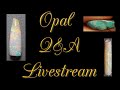 Opal Q&A Common Opal Questions/Issues Livestream Snippet