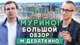 МУРИНО: Большой Обзор \ м. Девяткино СПб / Варламов НЕ ПРАВ!