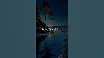 قالوا يا ويلنا #قناة_القرآن_الكريم #قران_كريم #قرآن #تلاوة_خاشعة#راحة_نفسية #المصحف