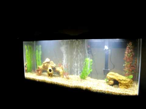 55 gallon aquarium hood with light