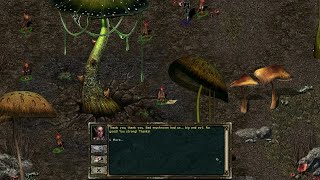 Beyond Divinity (Part 24) Act 2, Mushroom Forest - South