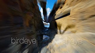 birdeye / fisheye