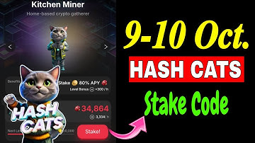 Hash Cats Stake Code Today | 9-10 October HashCats Stake Code | Hash Cats Stake Password Today