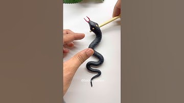 Fondant Cobras snake | Clay king Cobras | Fondant Cake Decorations @fondantcakes9292