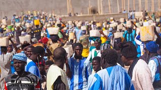 Tollouwayou Ligueyou Khalif General Des Baye Fall Complexe Islamique De Mbacke