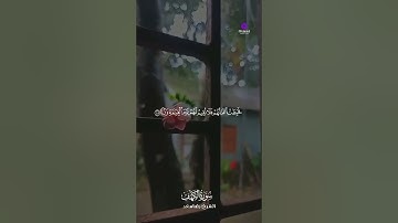 تلاوة عذبة لما تيسر من سورة الكهف – الشيخ رضا سعد #القرآن_الكريم #سورة_الكهف #رضا_سعد #تلاوة_خاشعة
