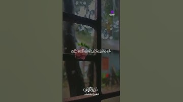 تلاوة عذبة لما تيسر من سورة الكهف – الشيخ رضا سعد #القرآن_الكريم #سورة_الكهف #رضا_سعد #تلاوة_خاشعة