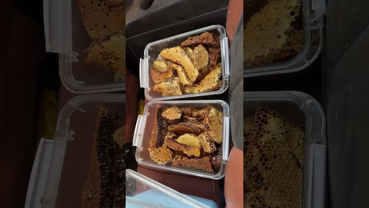 the deep black water is restless