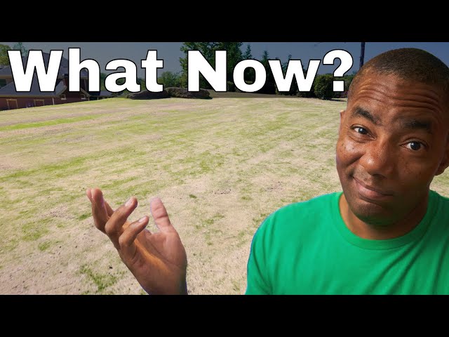 What comes after Top Dressing and Leveling Your Lawn - YouTube