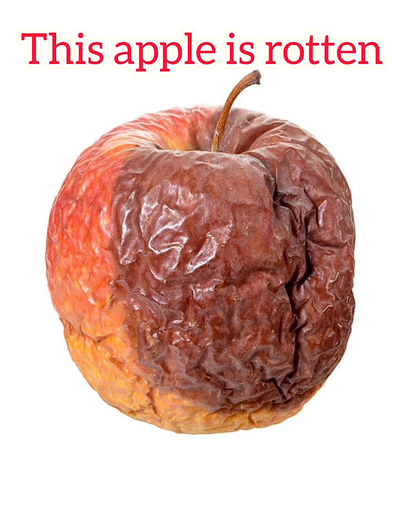how-to-say-spoiled-food-items-english-learnenglish-easysentences