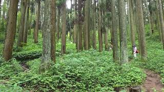 20260708高千穂荒立神社板木叩き３