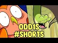 Owl and Snake #shorts