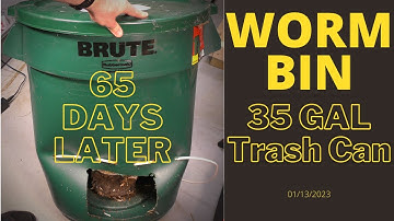 DIY Trash Can Worm Bin - 65 Days Later!! 01/12/2023