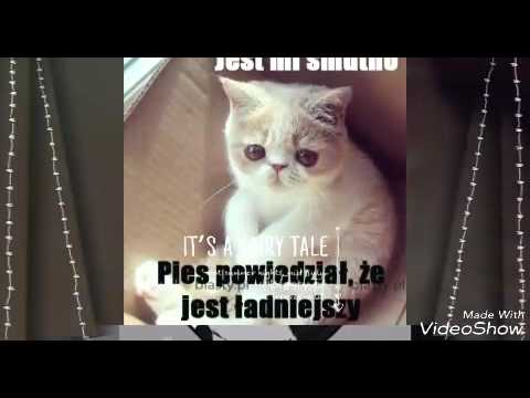 Borkkoti Osa Youtube