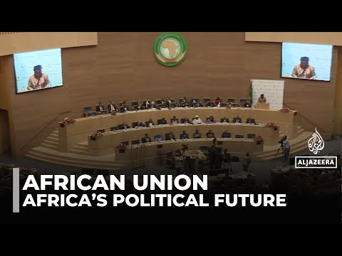 African Union summit: Questions raised about what forum really represents