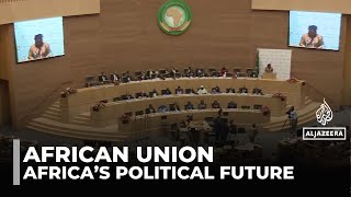 African Union Summit Questions Raised About What Forum Really Represents